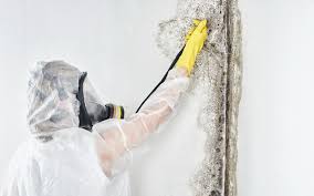 Mold Remediation for Vacation Homes in Sunrise Beach Village, TX